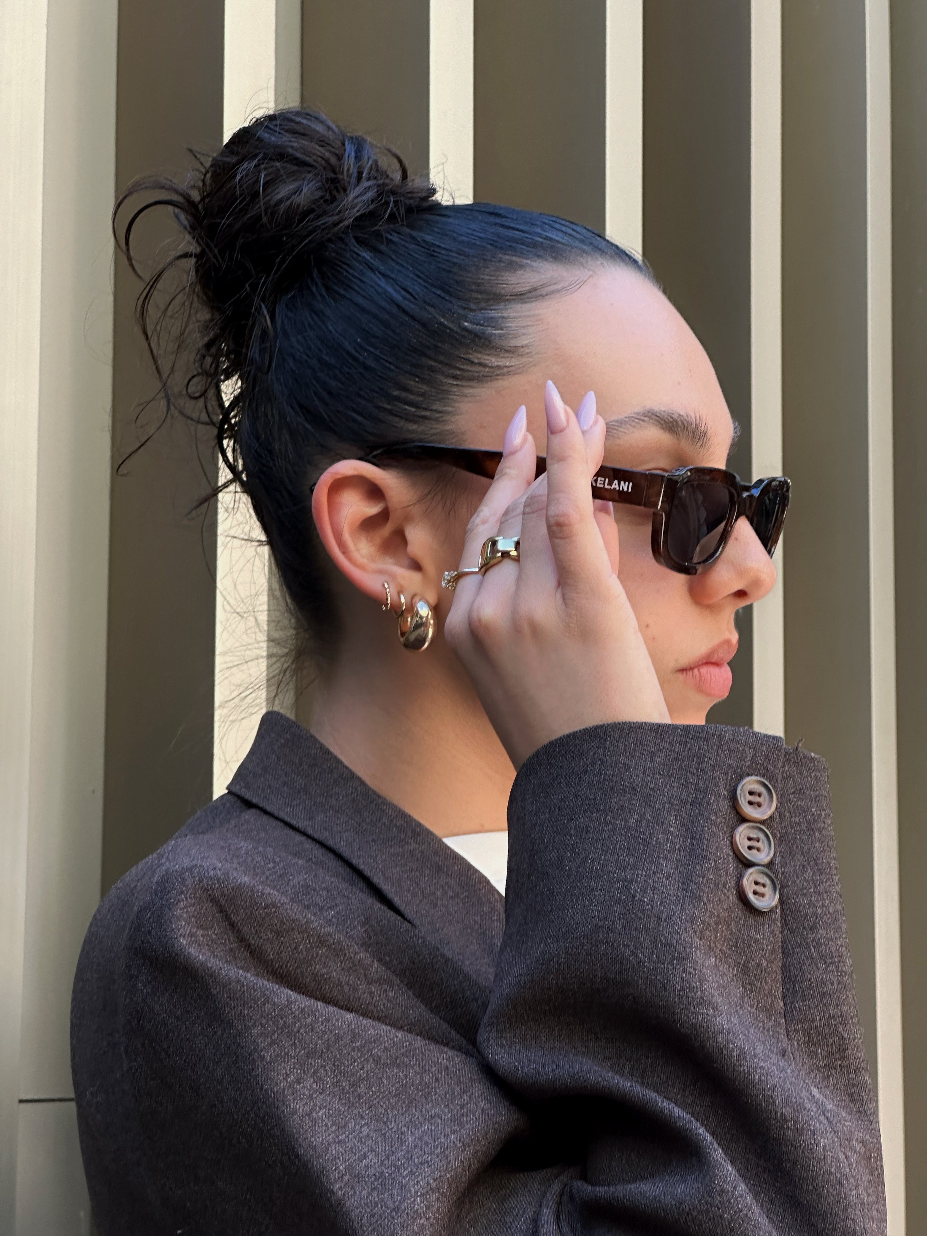 Sierra - écaille de tortue