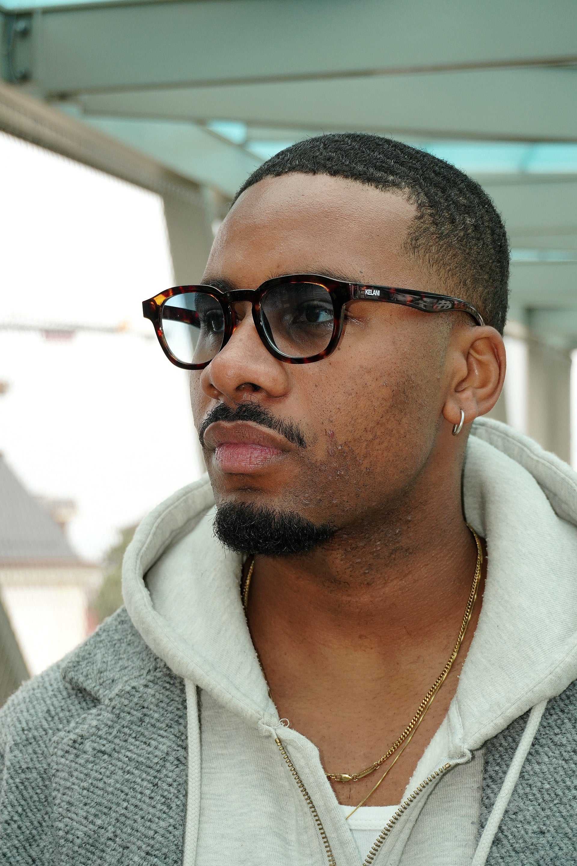 Lotus - écaille de tortue avec verres bleus