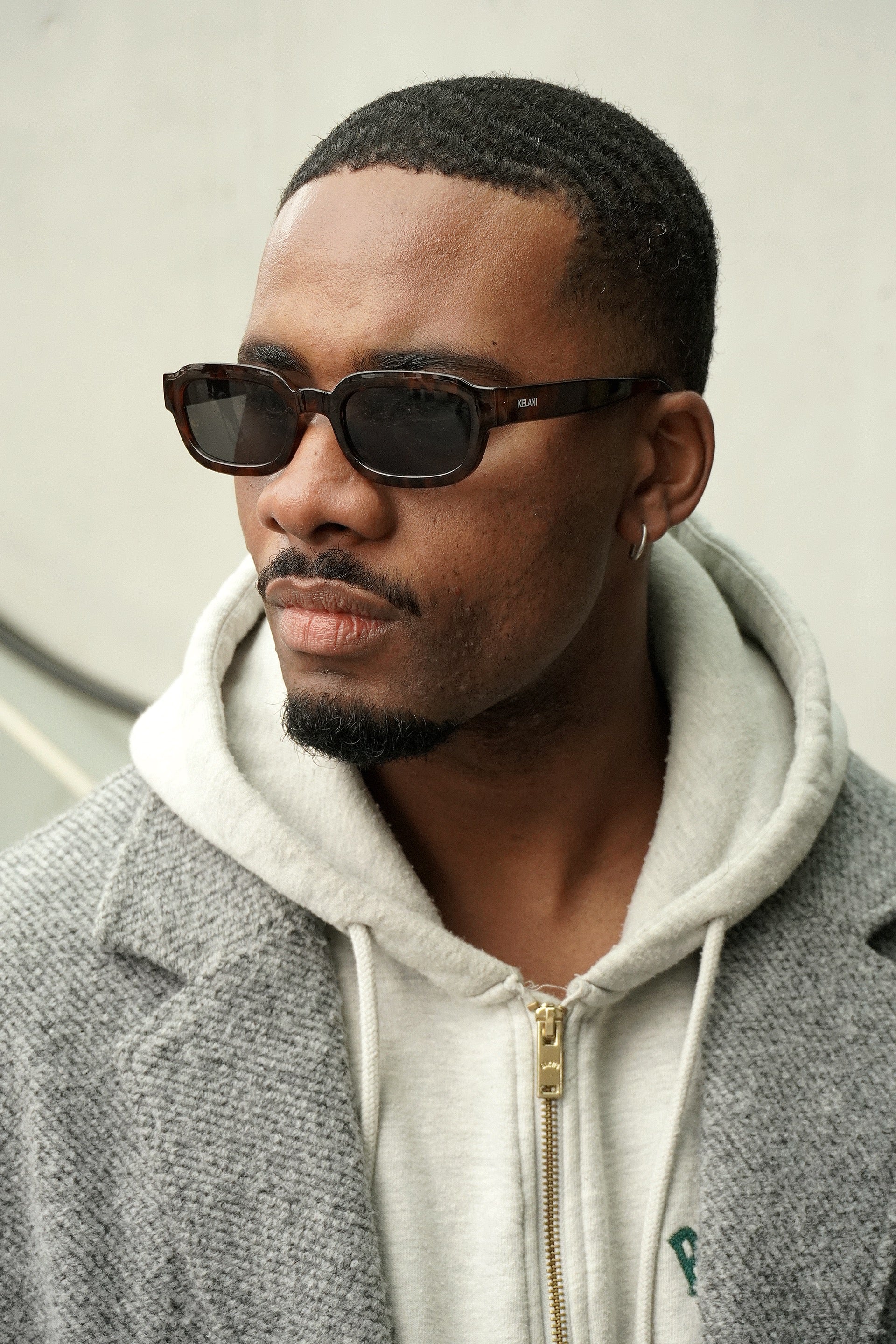 Sierra - écaille de tortue