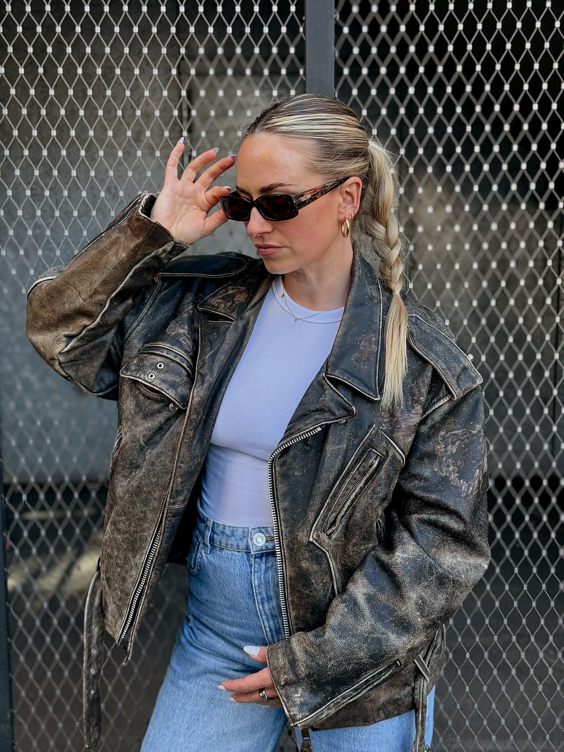 Phoenix - écaille de tortue