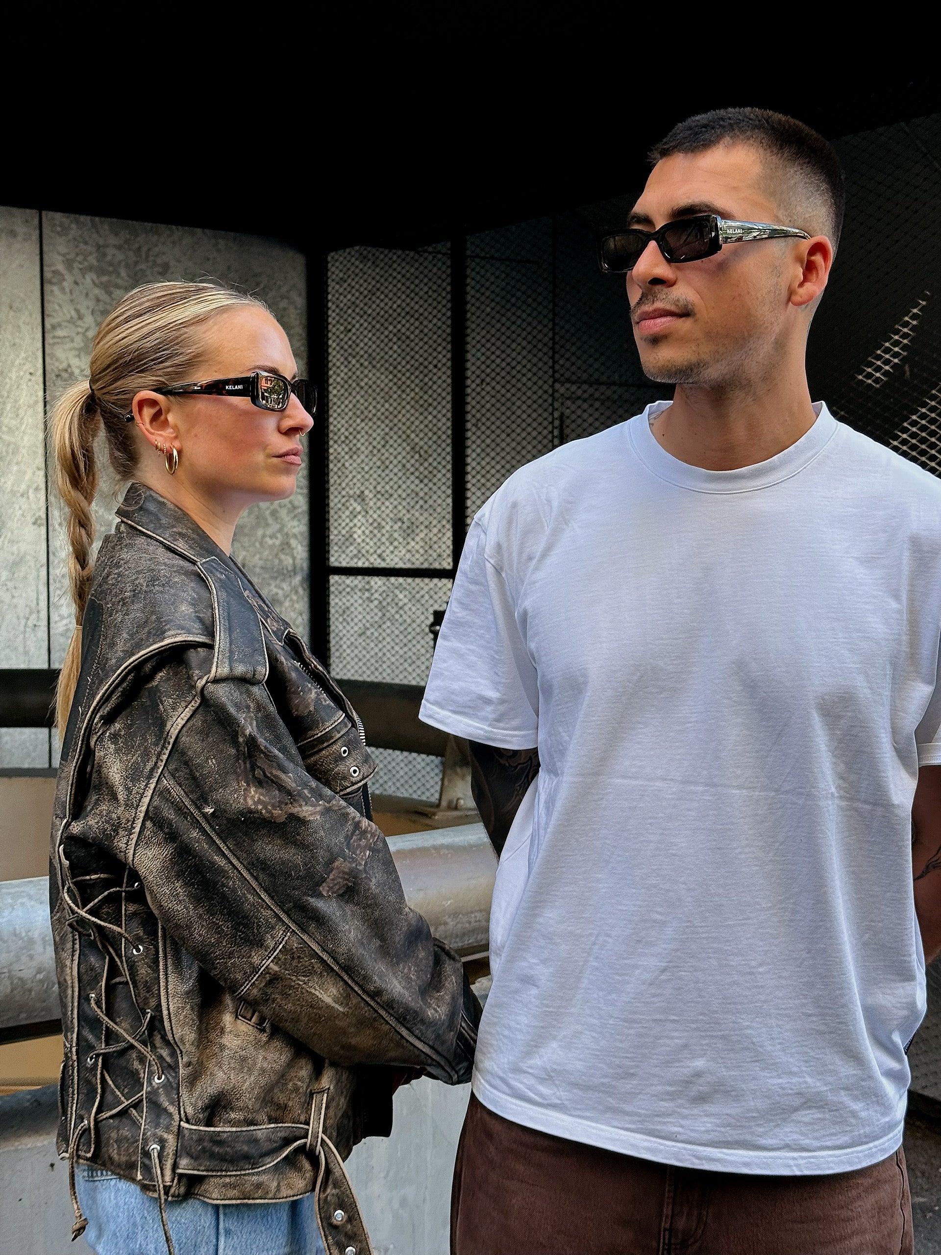 Phoenix - écaille de tortue