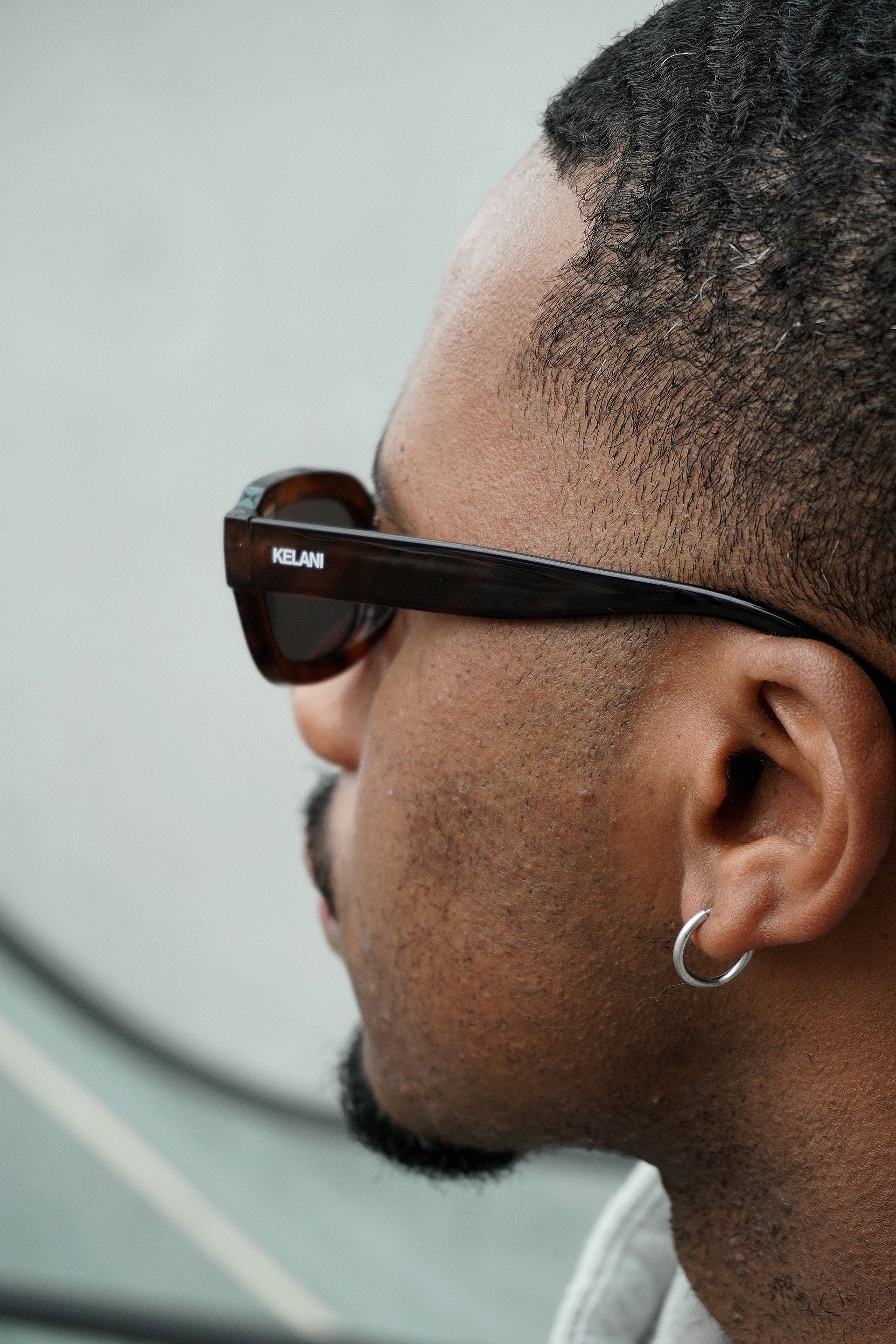 Sierra - écaille de tortue